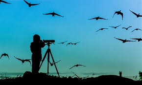 Best School in Kashipur